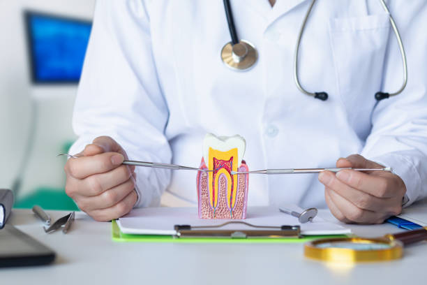 Best Emergency Dental Care for Broken or Chipped Teeth in East Cleveland, OH